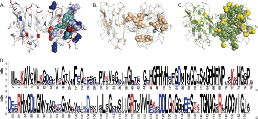 FIGURE 1.