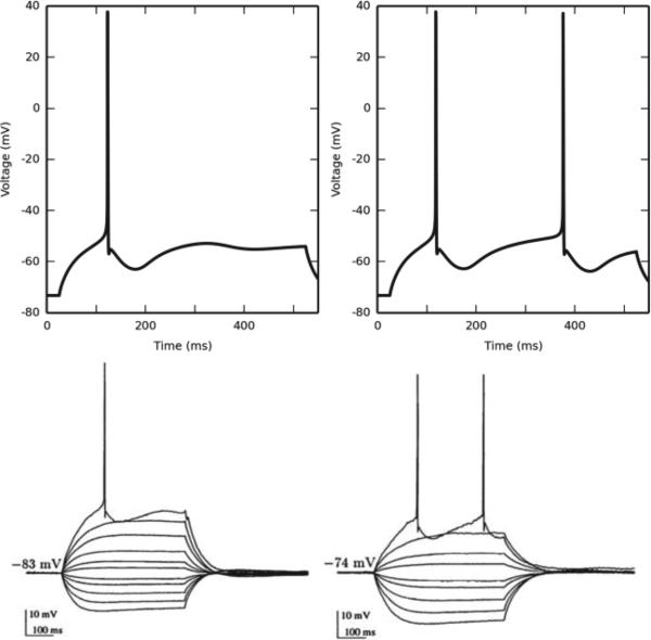 Fig. 2