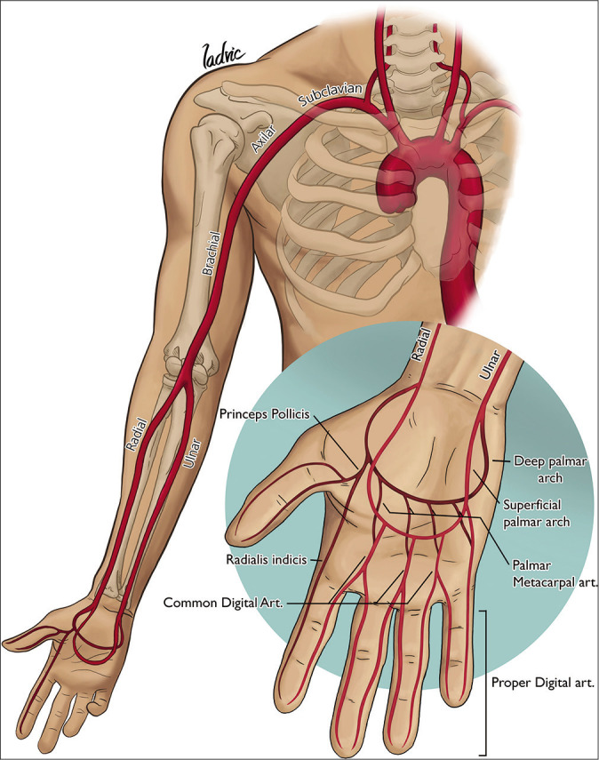 Figure 1: