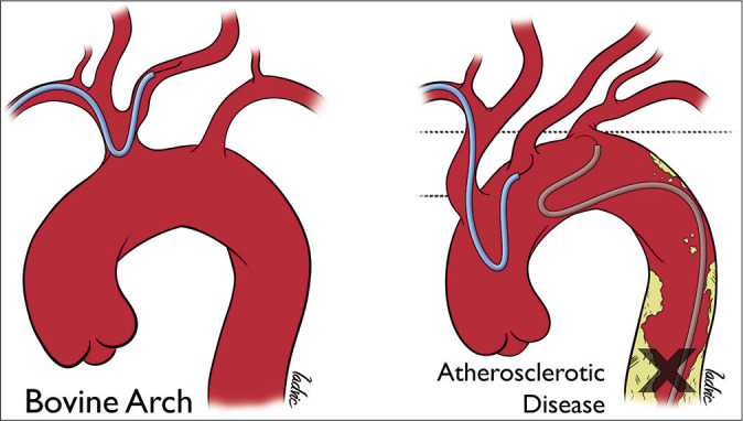 Figure 7: