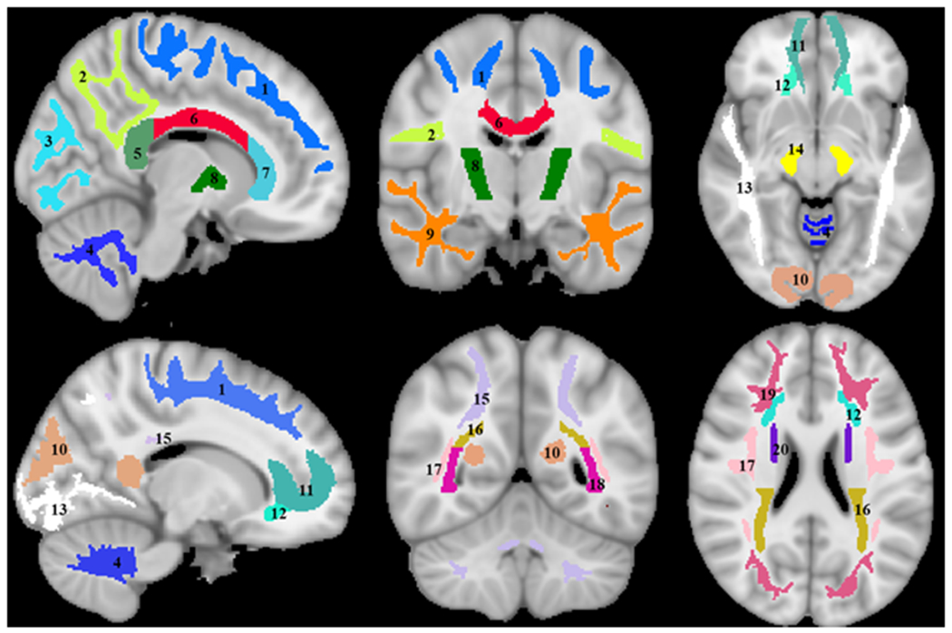 Figure 1.