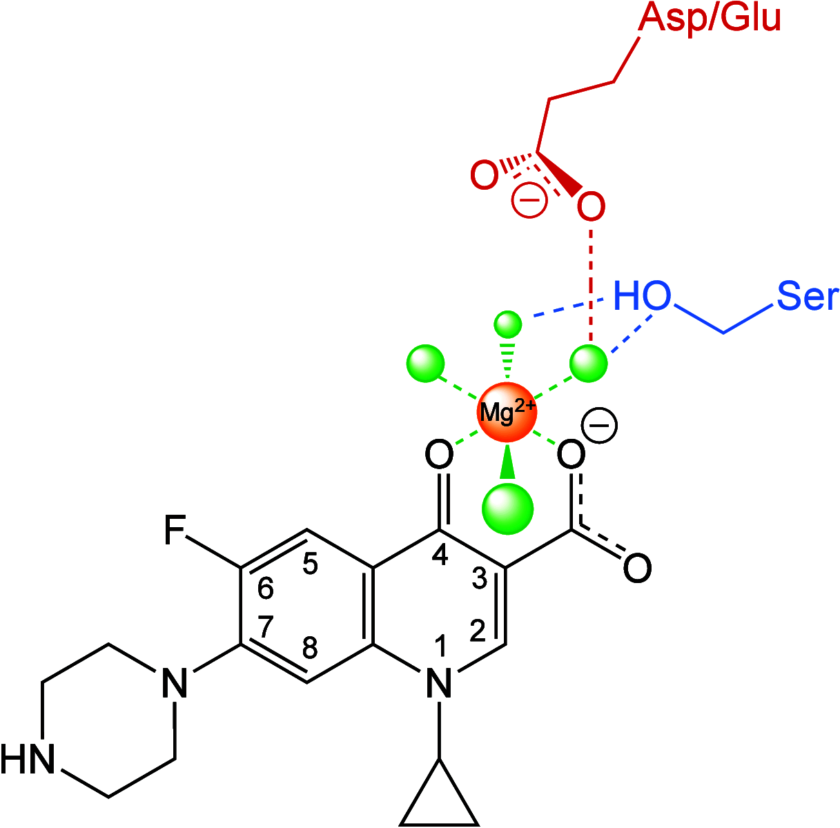 Figure 6