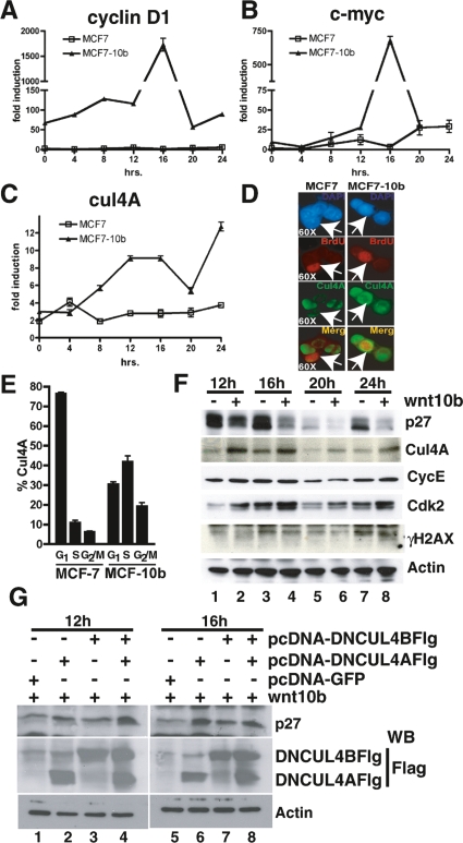 Figure 7.