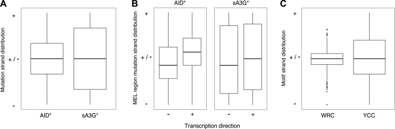 Figure 2—figure supplement 2.