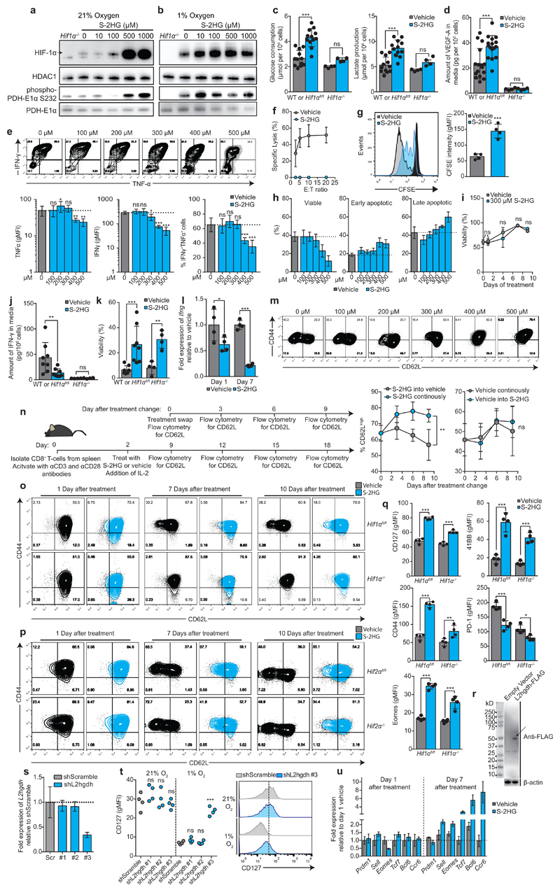 Extended Data Figure 5