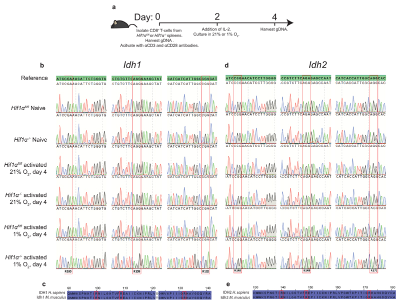 Extended Data Figure 3