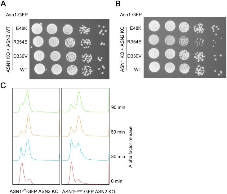 Fig 10