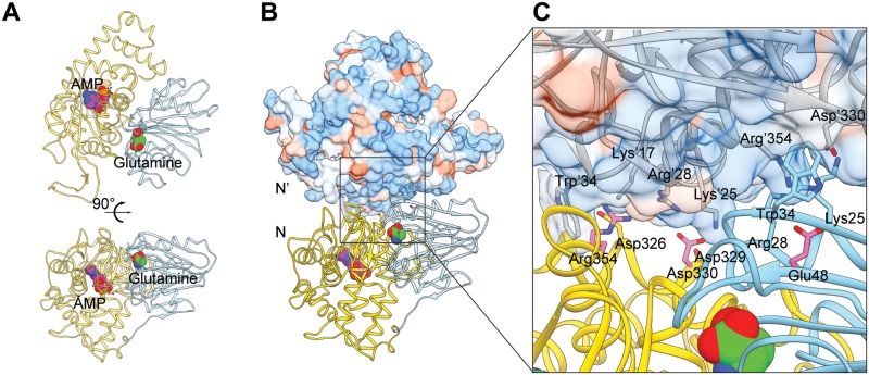 Fig 7