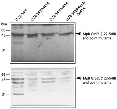 FIG. 6