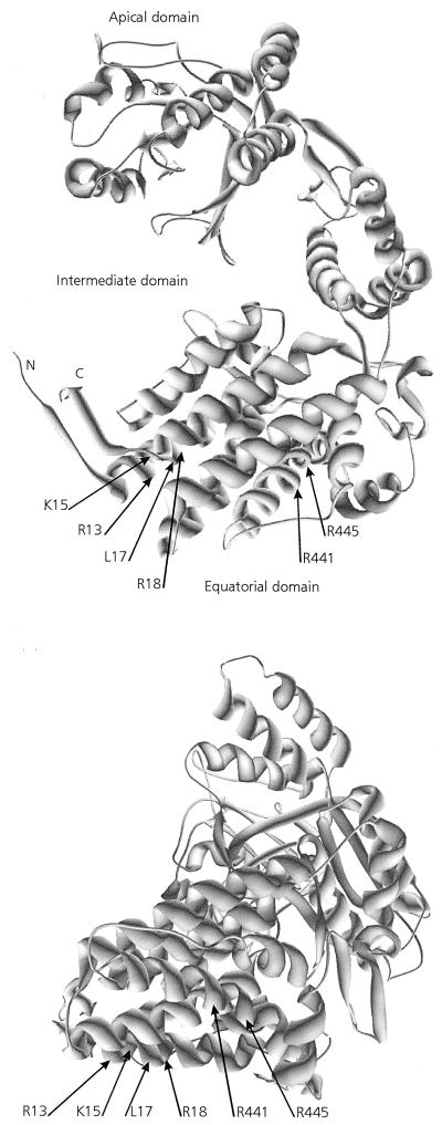 FIG. 8