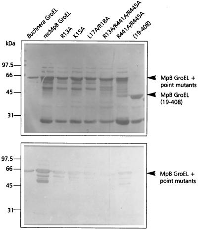 FIG. 7