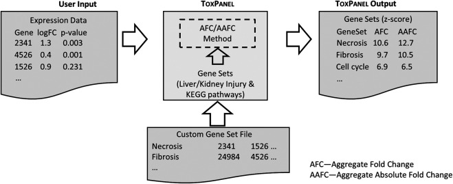 FIGURE 2