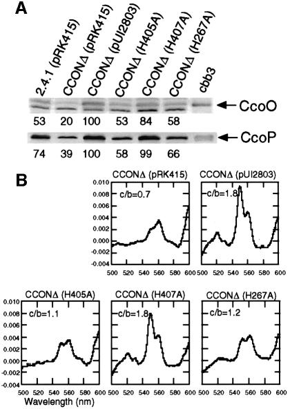 graphic file with name cdd431f5.jpg