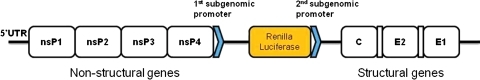 FIG. 1.