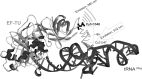 Fig. 2.