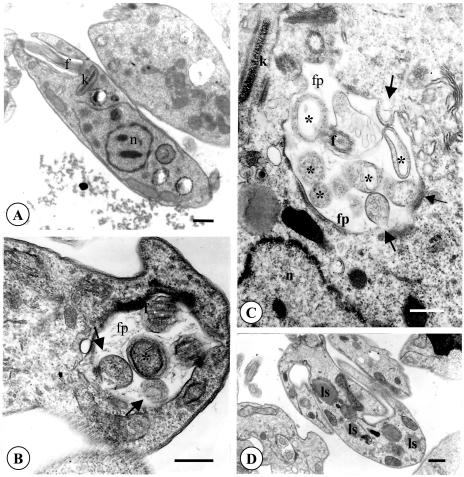 FIG. 4.