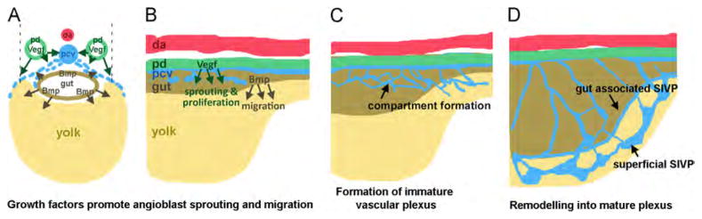 Fig. 10