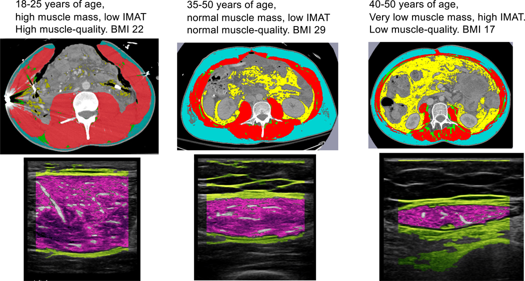 Figure 2: