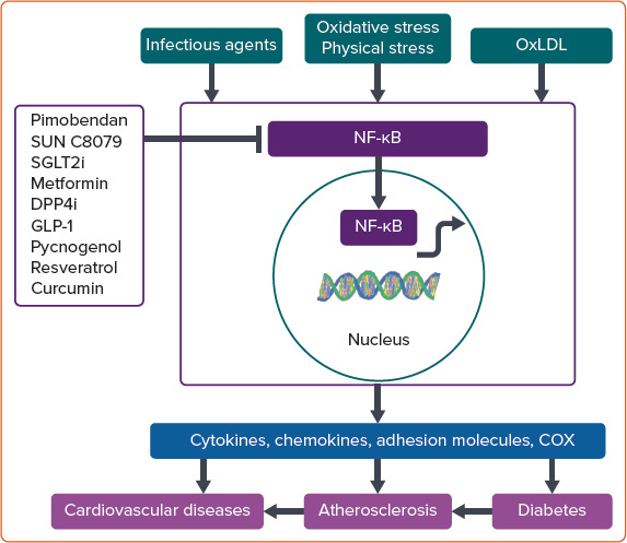 Figure 4: