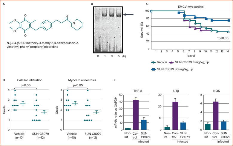 Figure 2: