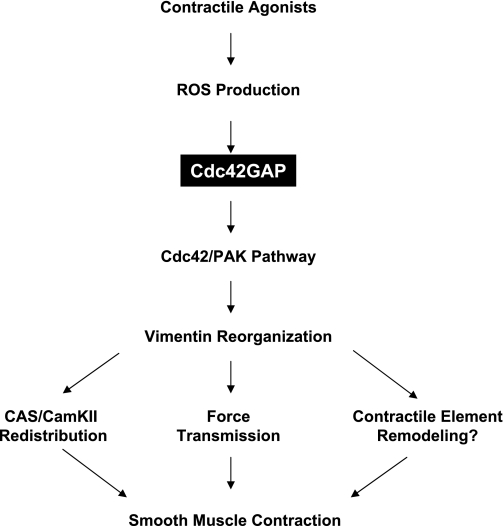 Fig. 8.