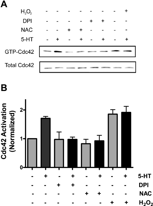 Fig. 4.