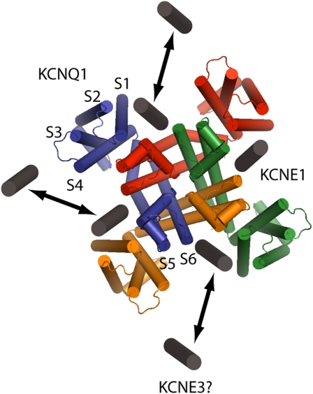 Fig. 1.