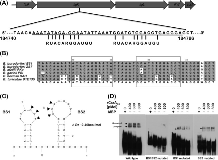 Fig 11