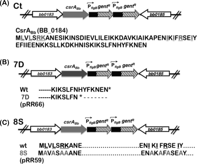 Fig 5