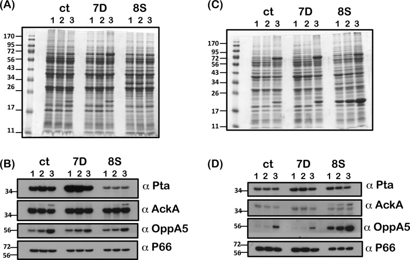 Fig 9