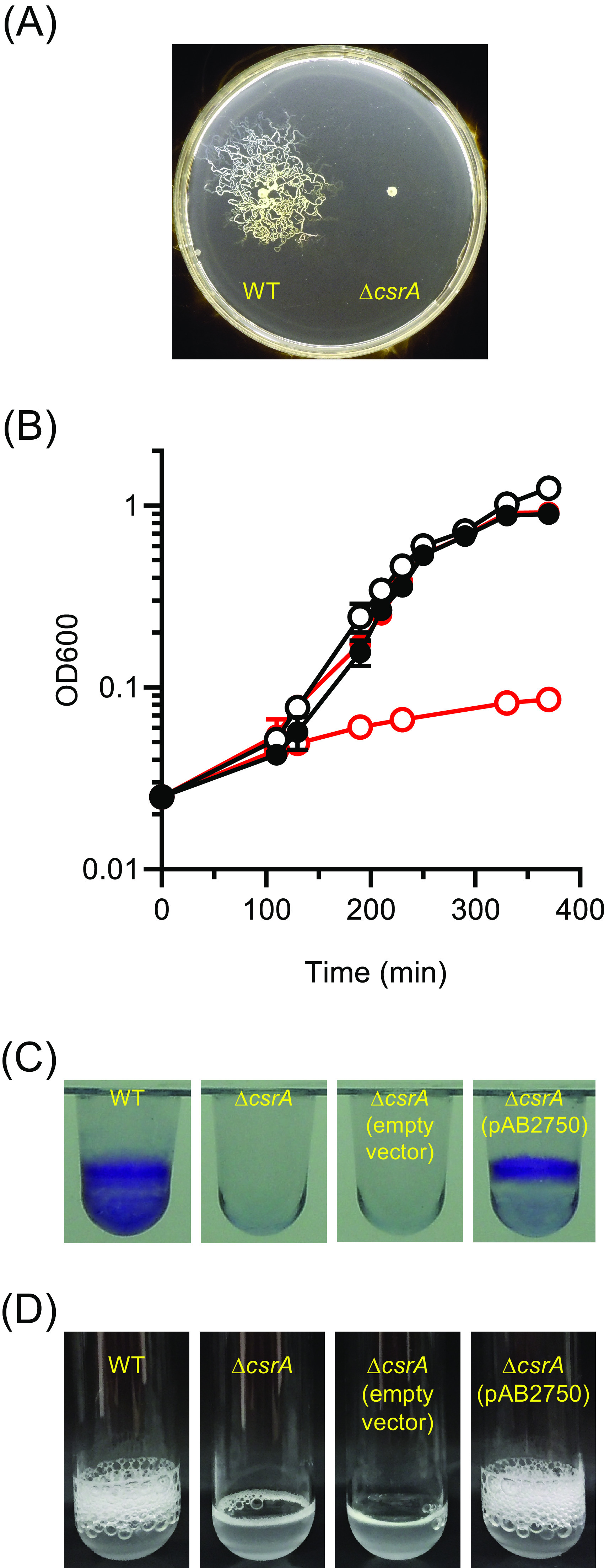 FIG 3