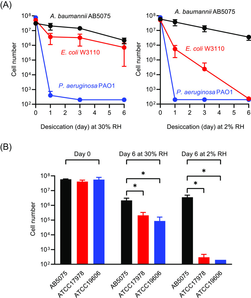 FIG 1