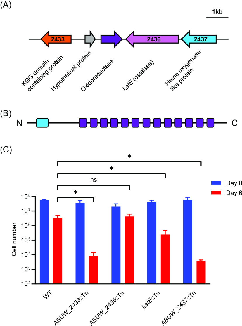 FIG 4