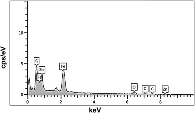 FIGURE 2