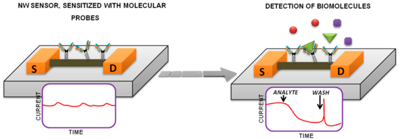 Fig. 11