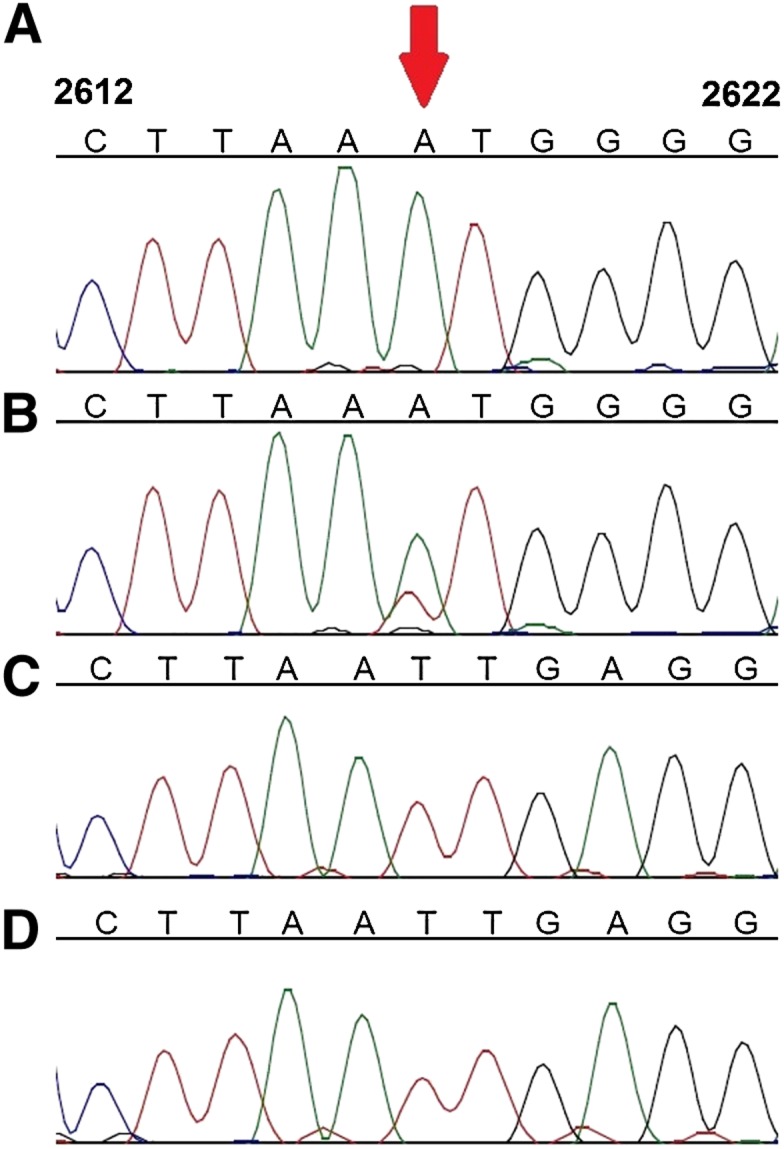 Figure 4.