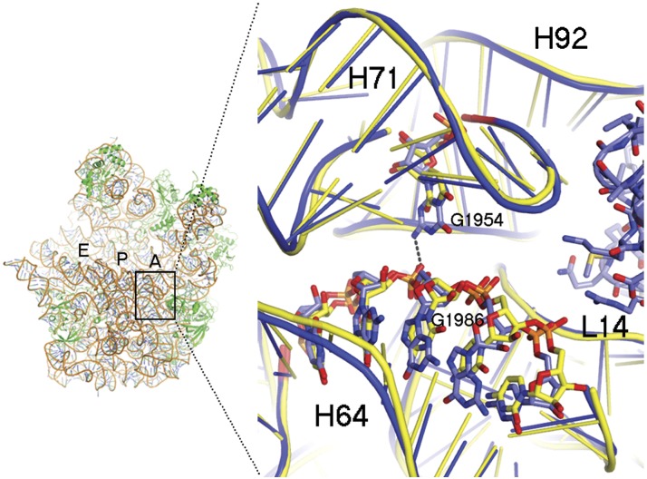 Figure 5.