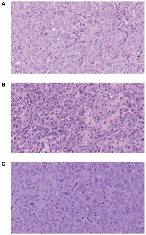 Figure 7.