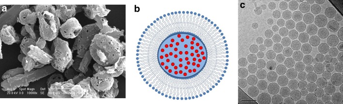 Fig. 2