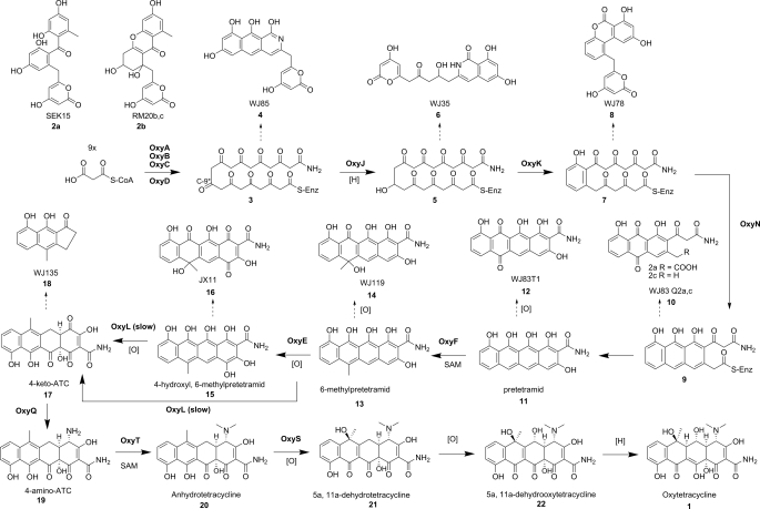 FIGURE 3.