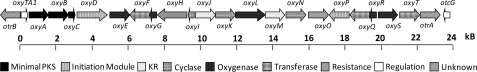 FIGURE 4.