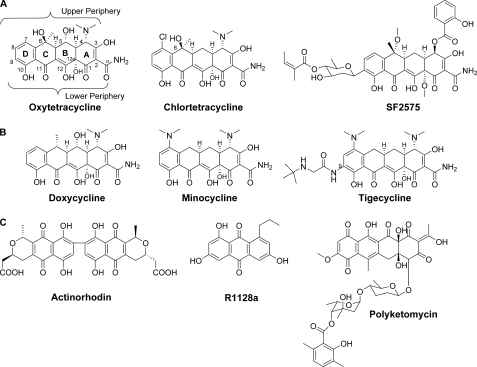 FIGURE 1.