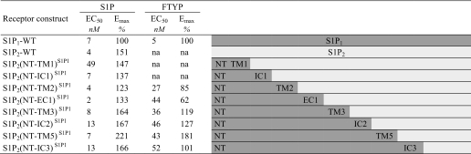 graphic file with name zbc039117601t002.jpg