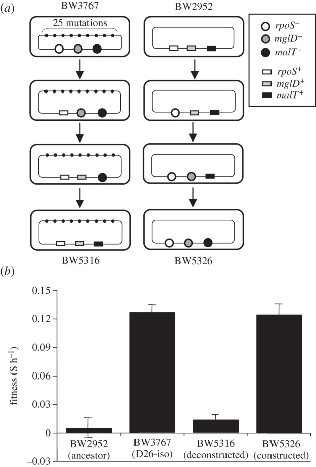 Figure 1.