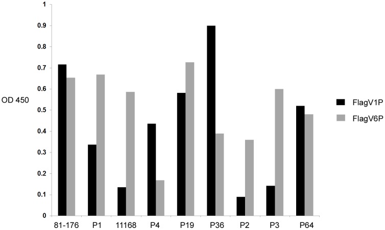 Figure 6