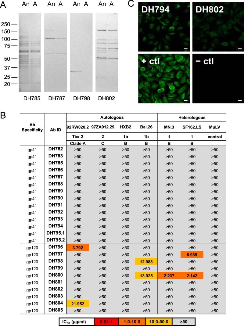 FIG 6