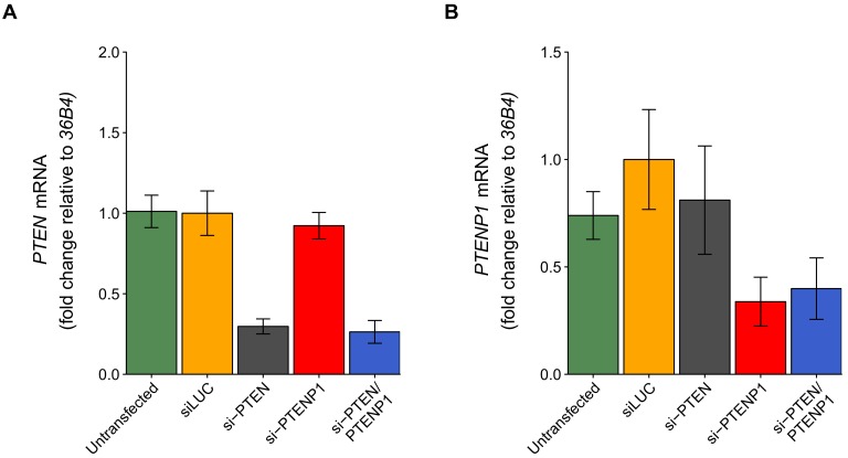 Figure 2—figure supplement 1.