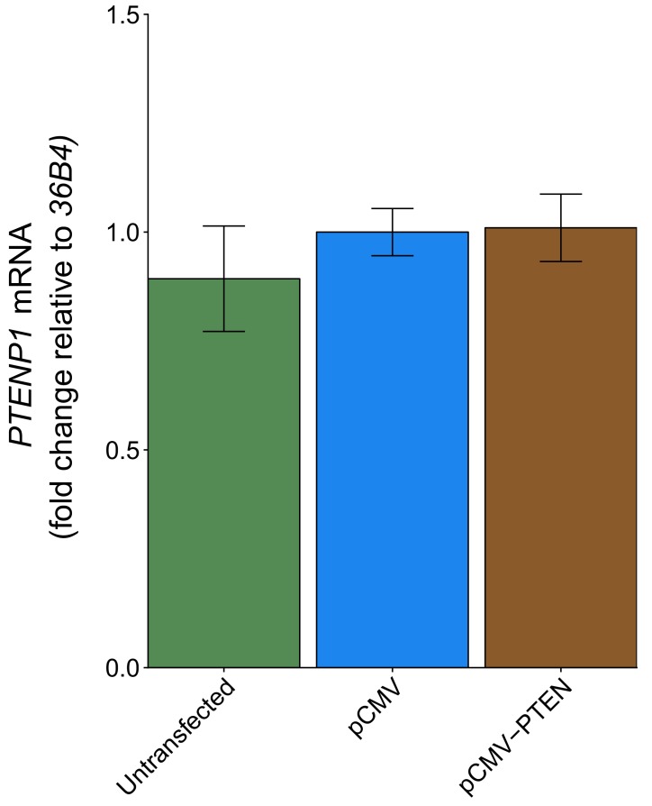 Figure 4—figure supplement 1.