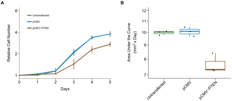 Figure 5—figure supplement 1.