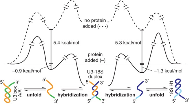 FIGURE 7.